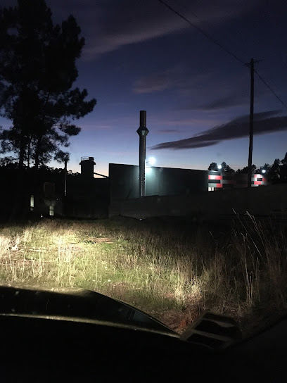 Elisabete Ralha Costureira 1 Loja de Alta Costura Elisabete Ralha Costureira