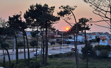 Loja de costura Rosart Atelier