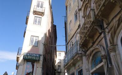 Modista Atelier Opção