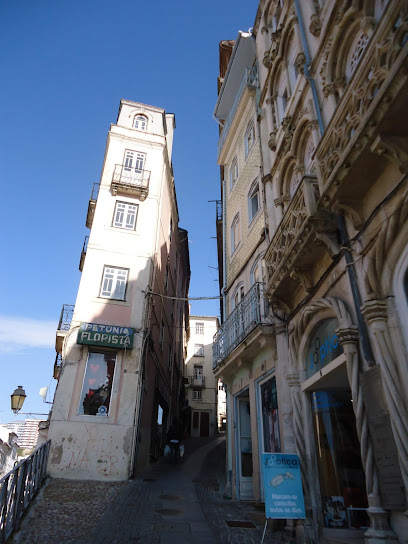 Modista Atelier Opção